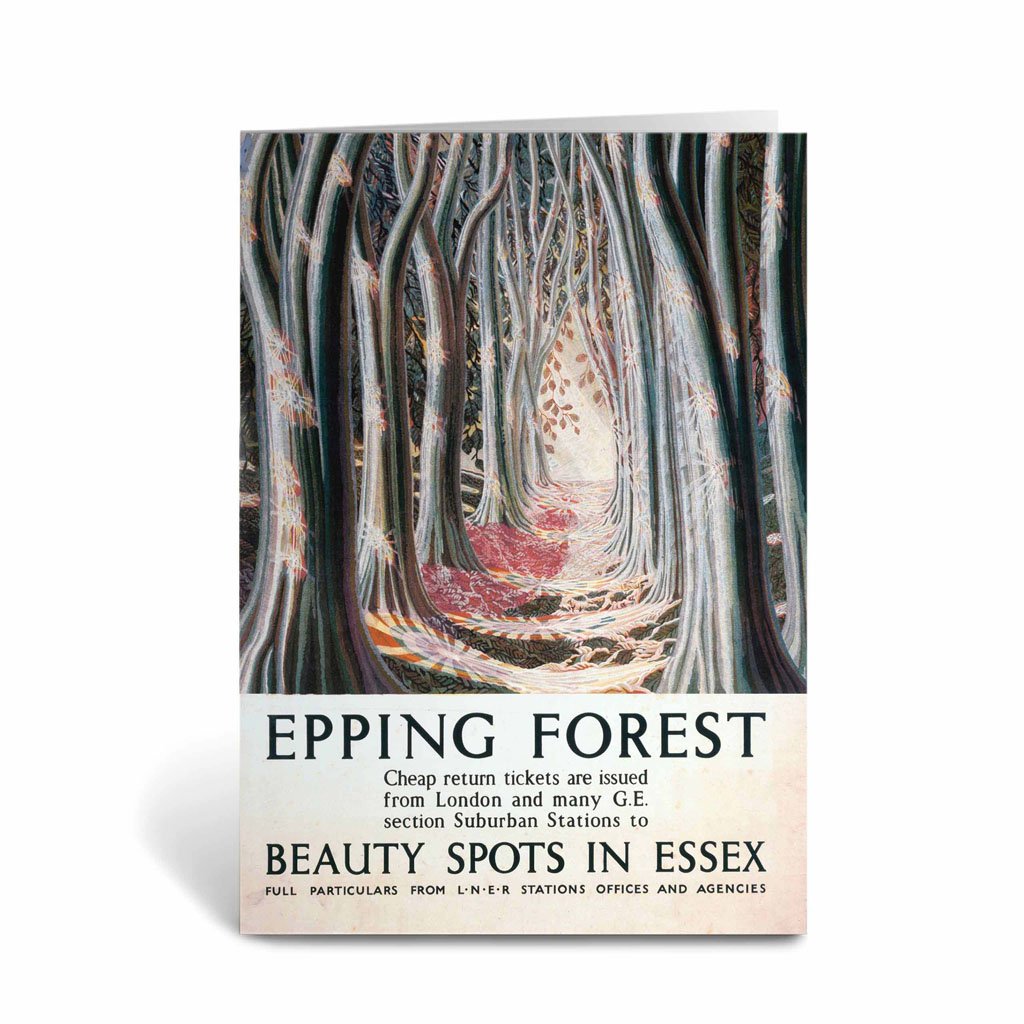 Epping Forest Beauty Spots in Essex Greeting Card