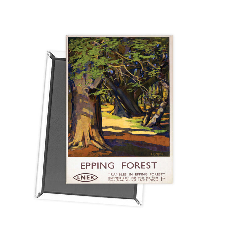 Rambles in Epping Forest Fridge Magnet