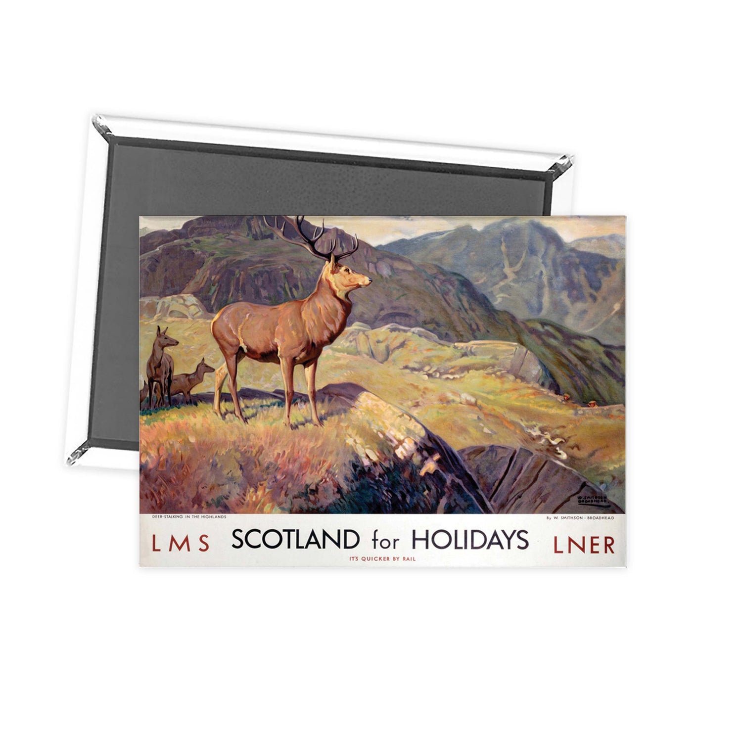 Scotland for holidays Fridge Magnet