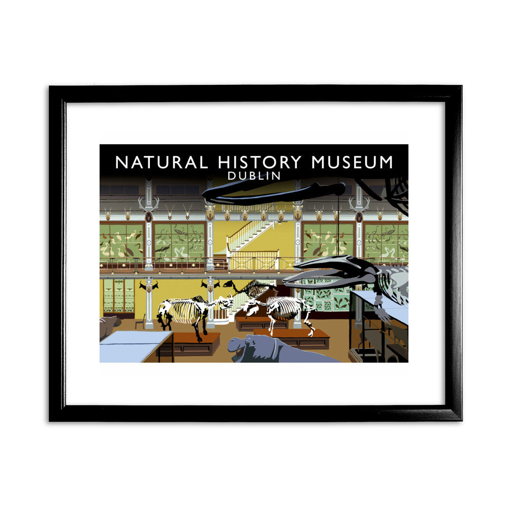 Natural History Museum, Dublin, Ireland - Art Print