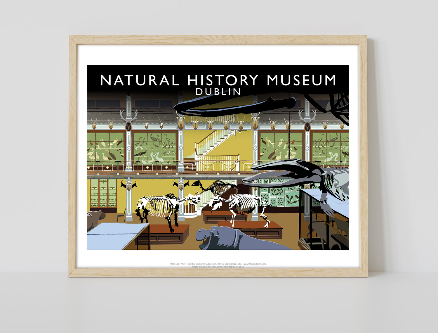 Natural History Museum, Dublin, Ireland - Art Print