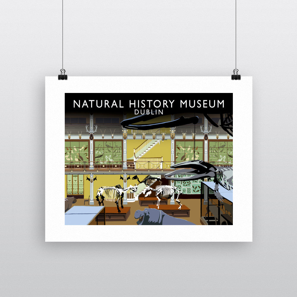 Natural History Museum, Dublin, Ireland - Art Print