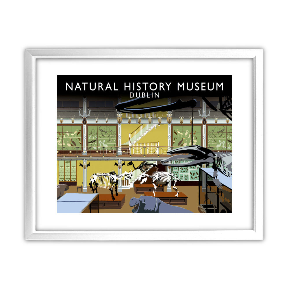 Natural History Museum, Dublin, Ireland - Art Print