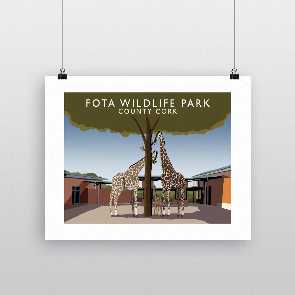 Fota Wildlife Park, County Cork, Ireland 11x14 Print