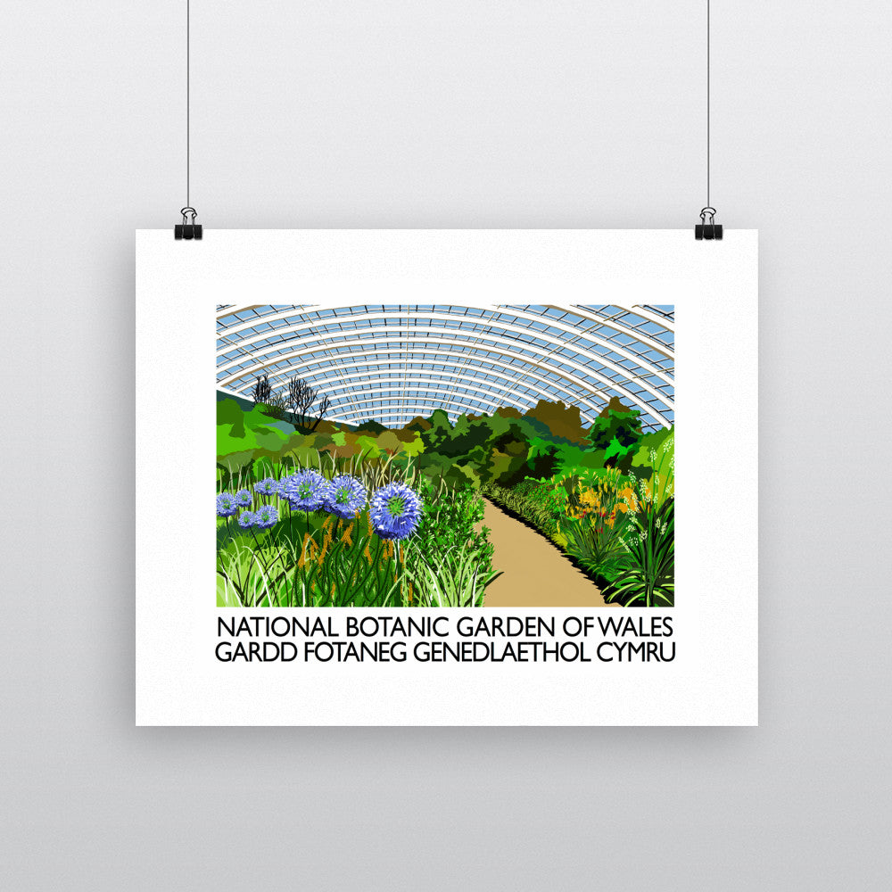 National Botanic Garden of Wales, Wales 90x120cm Fine Art Print