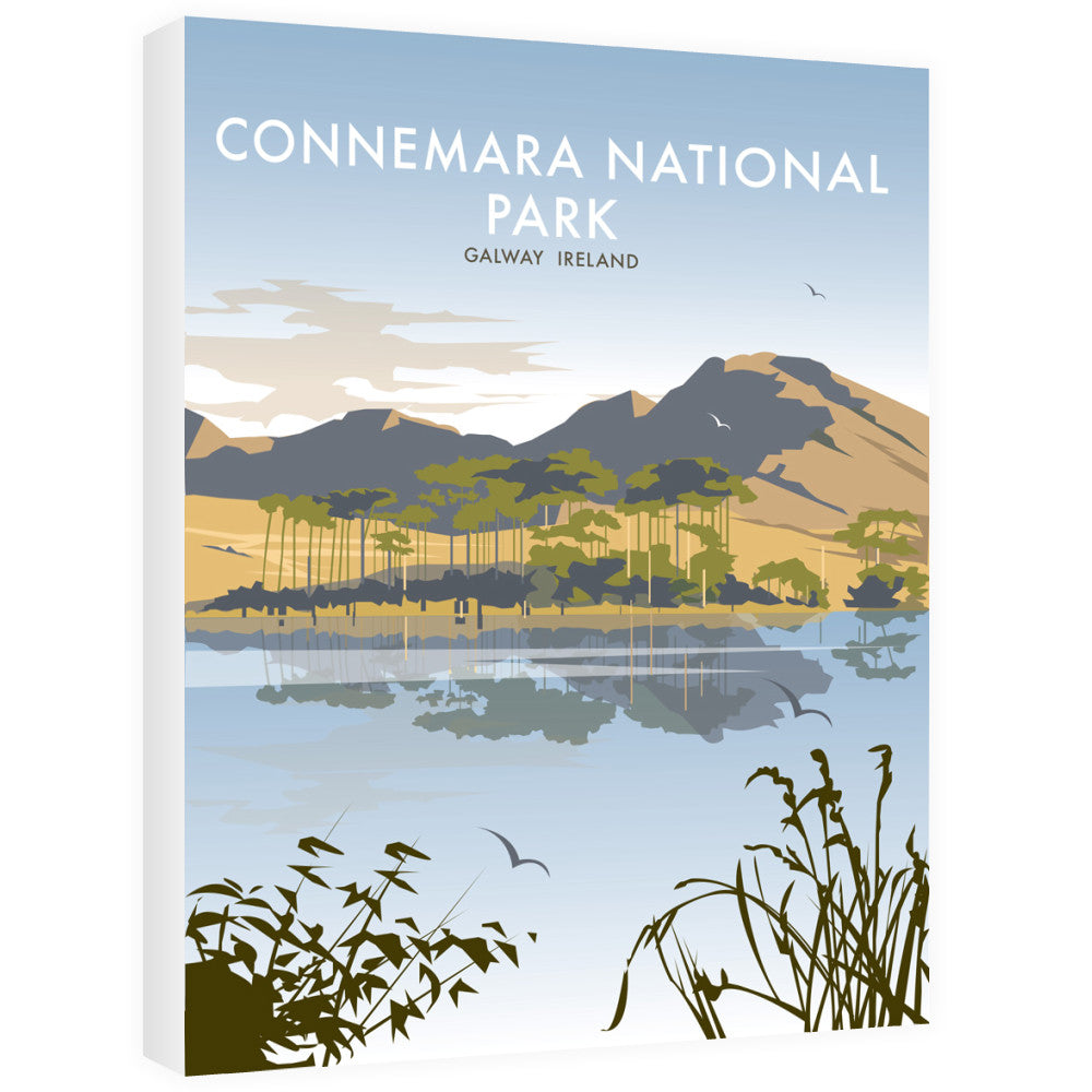 Connemara National Park, Galway Ireland 40cm x 60cm Canvas