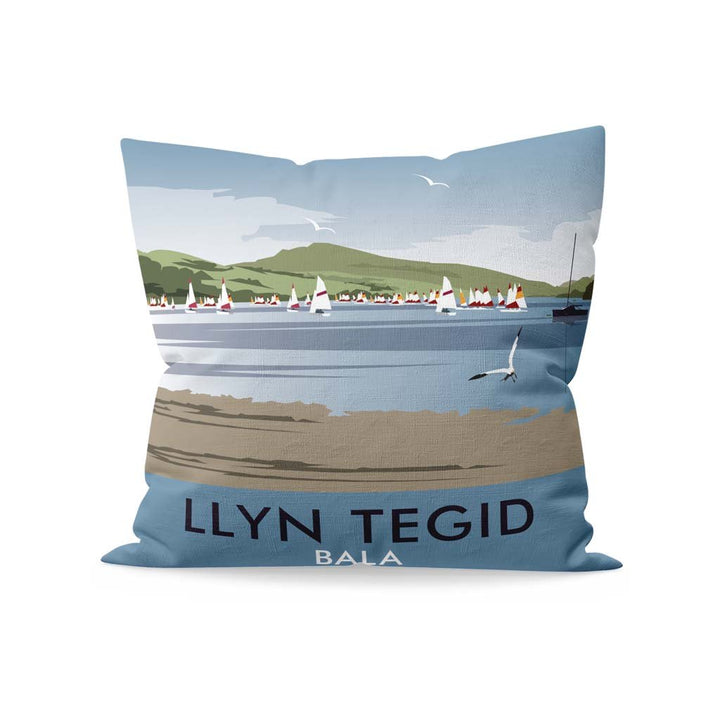 Llyn Tegid, Bala Cushion