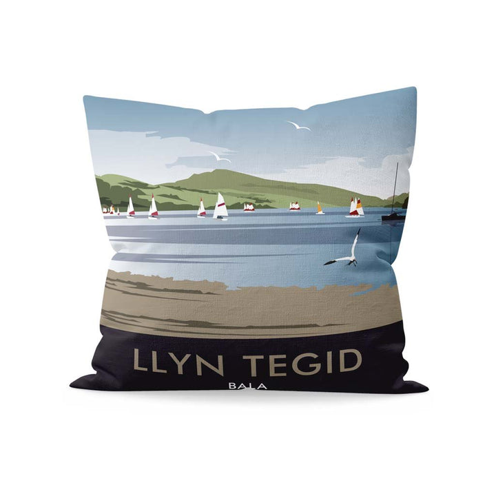 Llyn Tegid, Bala Cushion