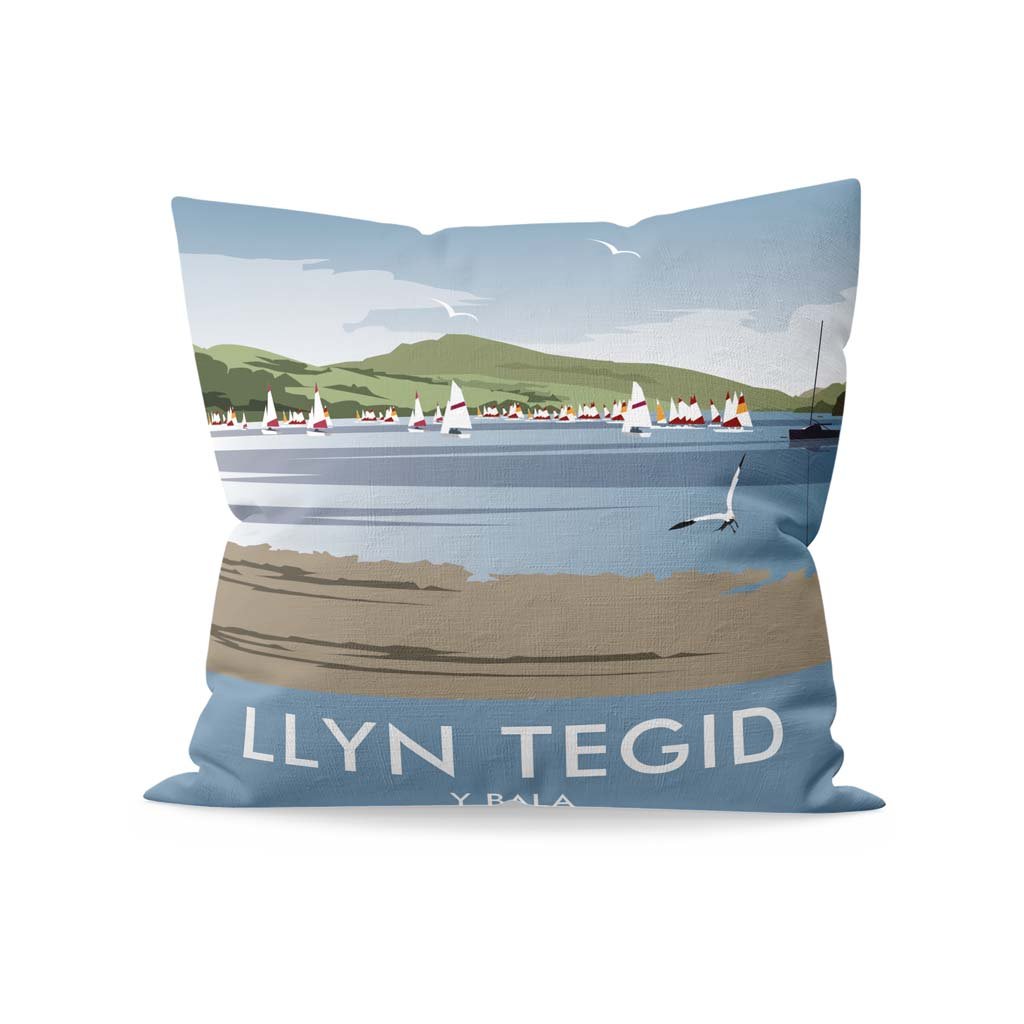 Llyn Tegid, Bala Cushion