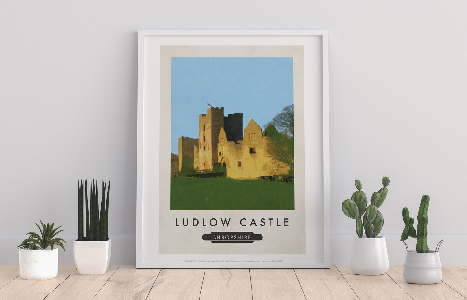 Ludlow Castle, Shropshire - Art Print